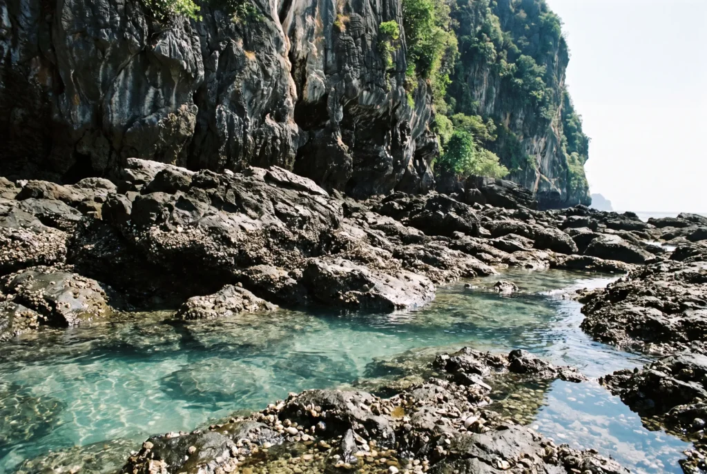 Sharp barnacle-covered rock and shallow water at low tide below the Railay cliffs, where most coral cuts and urchin injuries happen